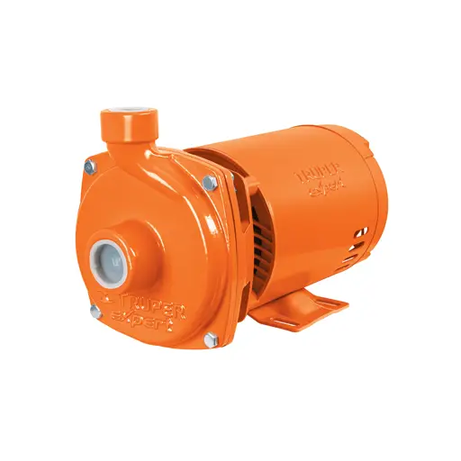 BOMBA CENTRIGUA 1 HP TRUPER EXPERT