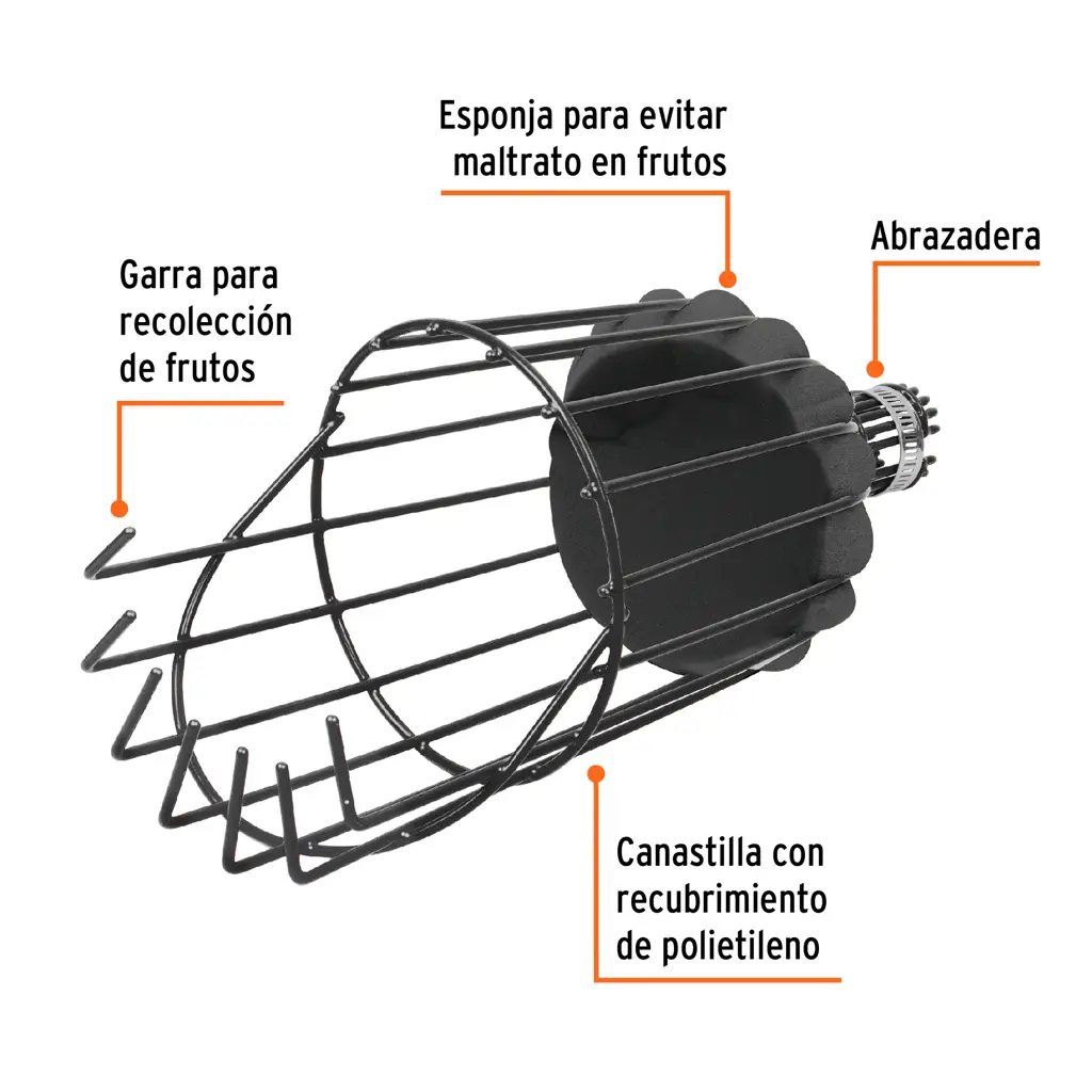 Recolector de frutas Truper con canastilla verde y garra para cosechar. 4
