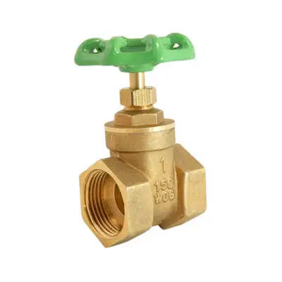 Llave de paso de compuerta de latón Miber de media pulgada para control de fluidos 1